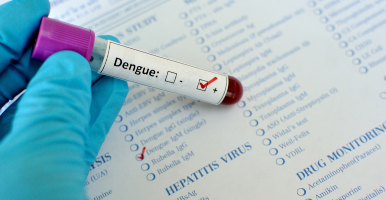 dengue